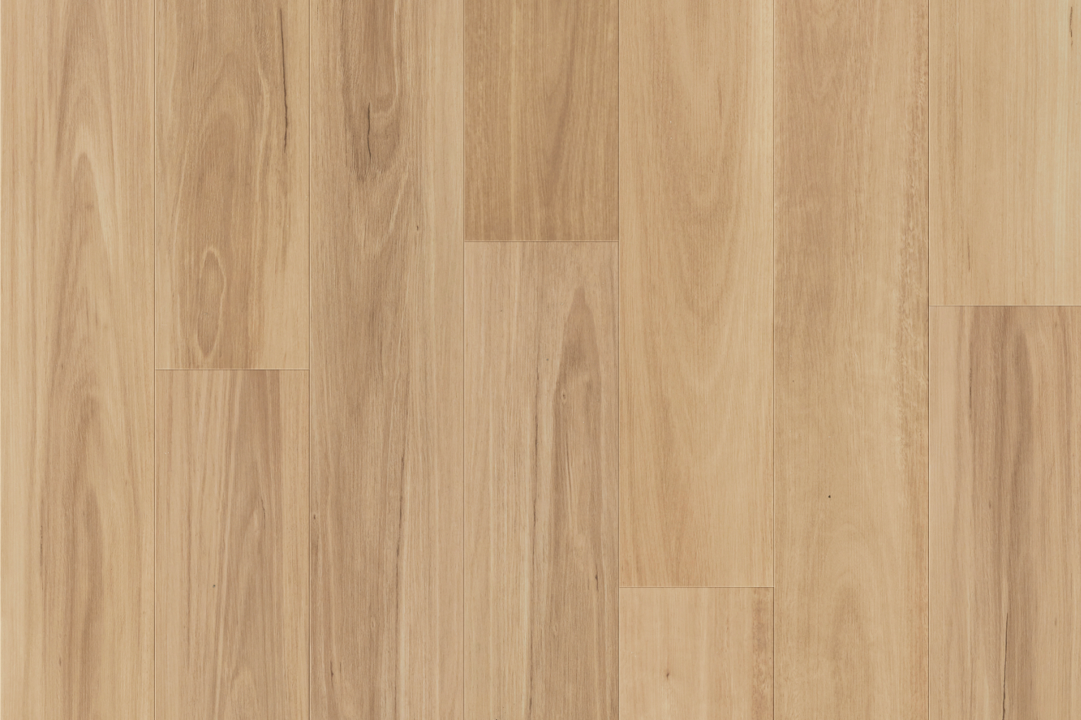 V509 Raw Blackbutt V509 Raw Blackbutt