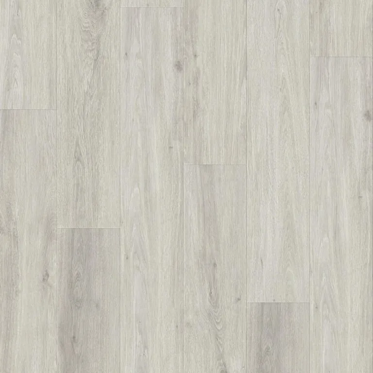 RoyalStep 12mm laminate flooring in Ashen Oak, showcasing a light grey wood texture with realistic grain details and a water-resistant surface.
