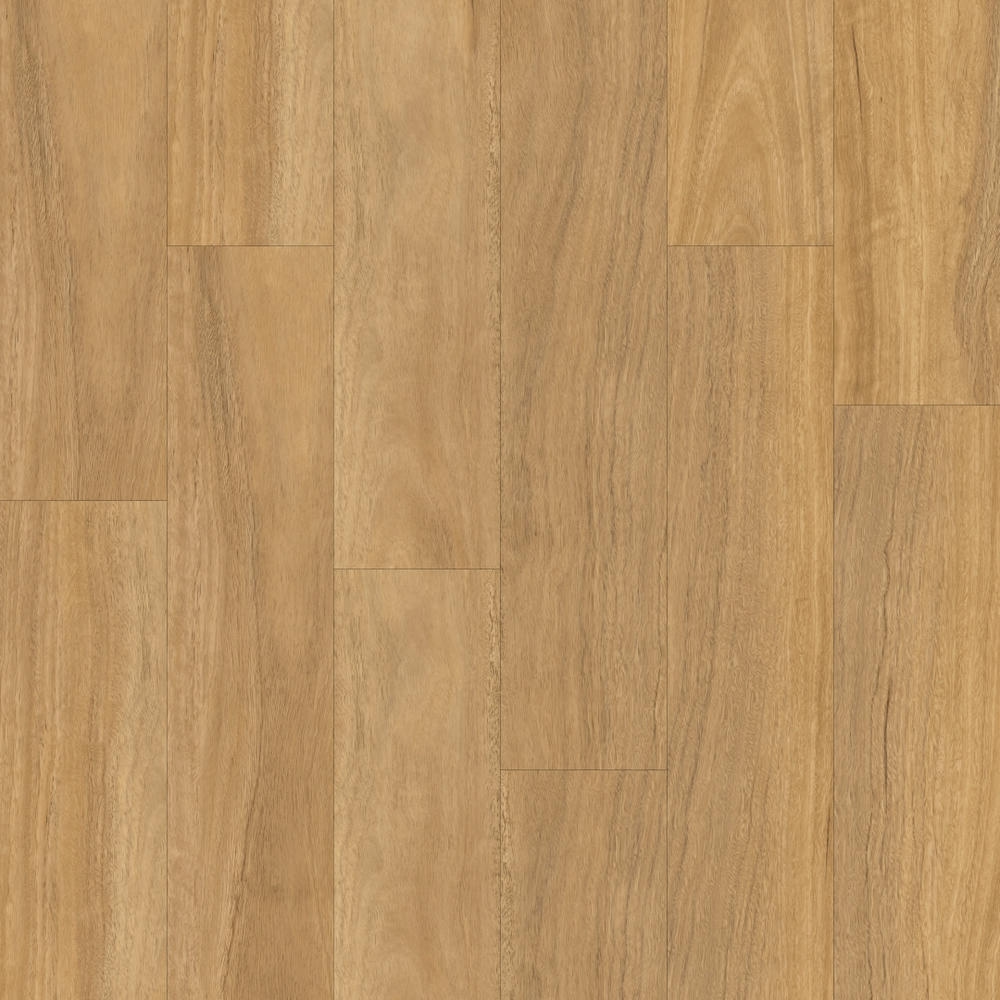 Light Spotted Gum