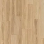 Raw Blackbutt