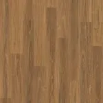 Spotted Gum