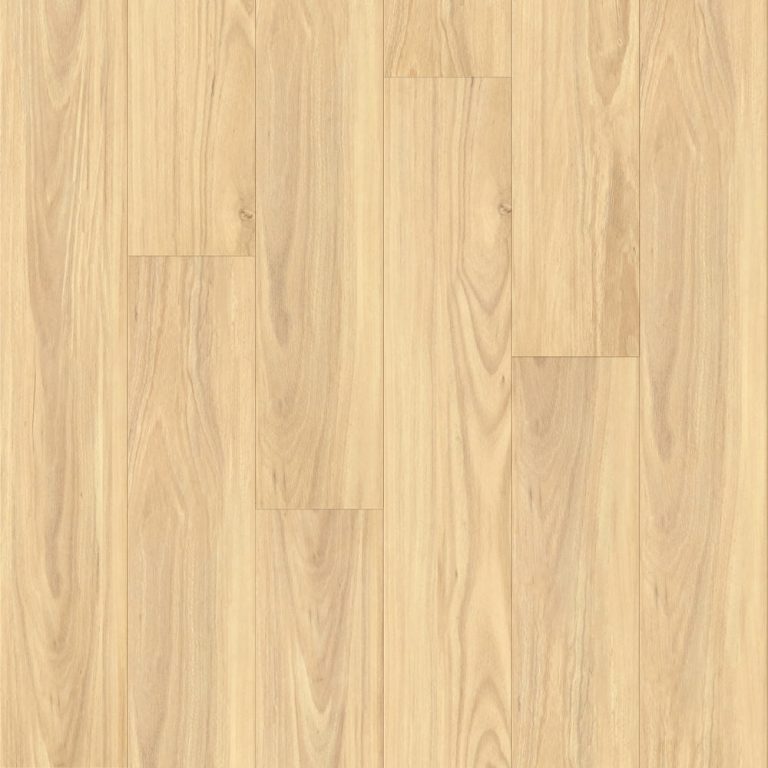 Royal Procore Laminate in Select Blackbutt, swatch