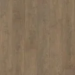 Cocoa Oak
