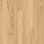 Blackbutt