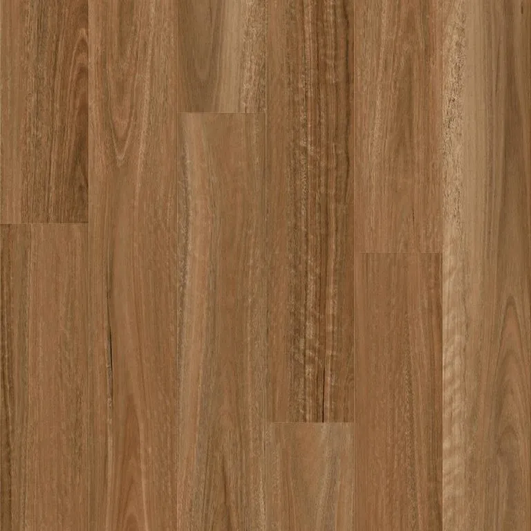Royal 10MM Extreme Spotted Gum