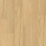 Blackbutt