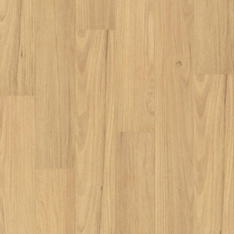 RoyalStep Laminate 12mm flooring in Blackbutt, swatch