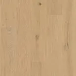 Maple