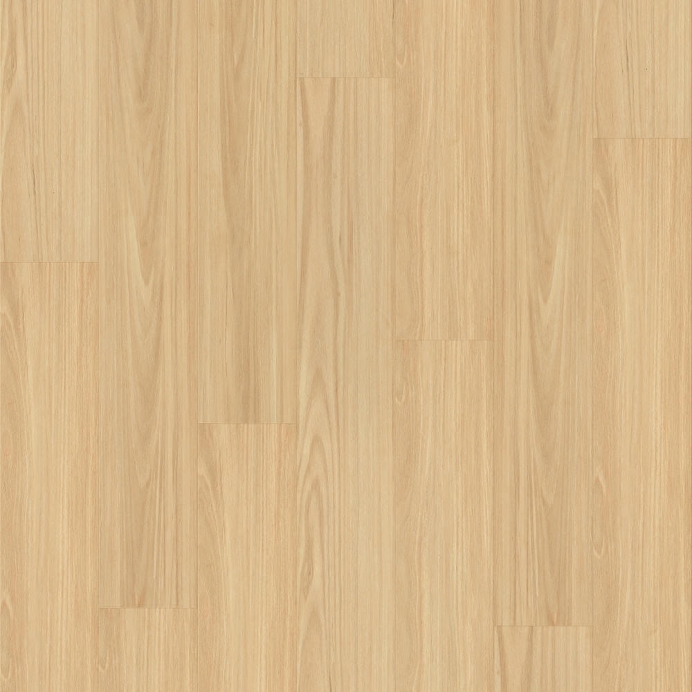 Neutral Blackbutt