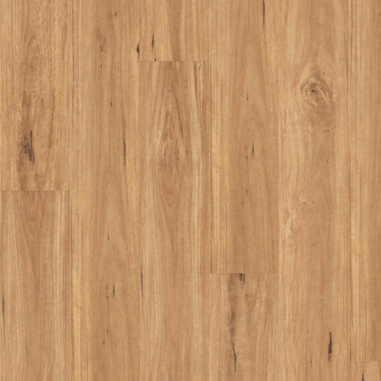 Royal 6.5mm Premium flooring in Blackbutt, swatch