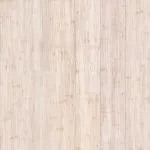Vanilla Cream