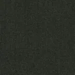 Charcoal