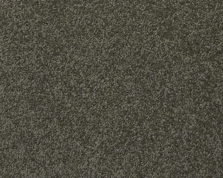 Heartwood carpet swatch in dark grey, showcasing a textured, plush surface ideal for residential flooring solutions.