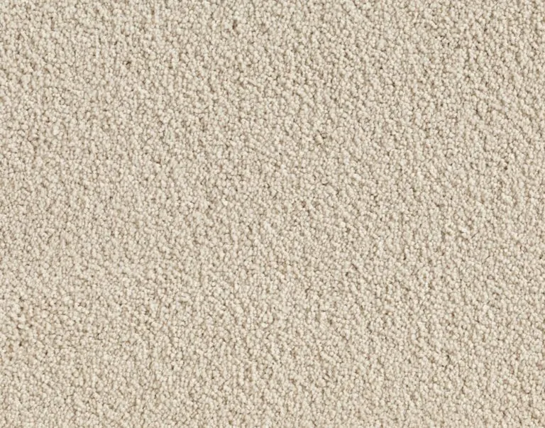 Astoria color option of Maddison Grove carpet, featuring a soft, textured surface ideal for high-traffic areas, showcasing a blend of traditional warmth and modern resilience.