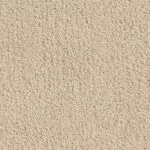 Vellum