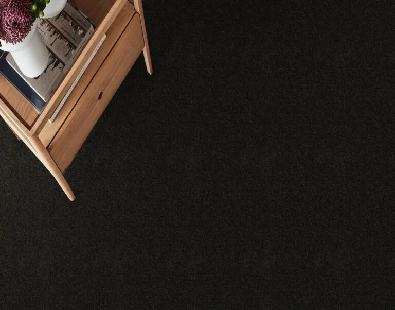Raven carpet from the Skyway collection, featuring a luxurious dark color, enhancing interior aesthetics and comfort.