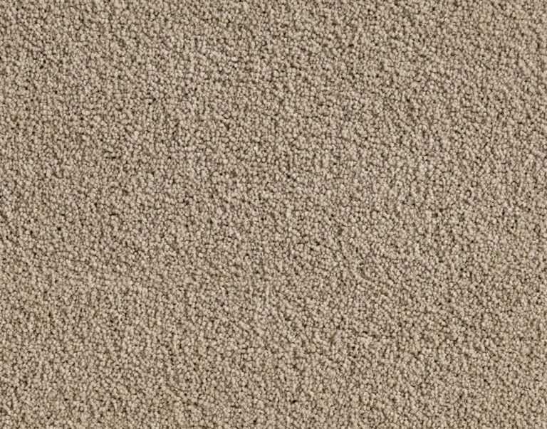 Venetian Raw Salt carpet texture, showcasing a soft, dense surface with a velvety appearance, ideal for luxurious residential spaces.