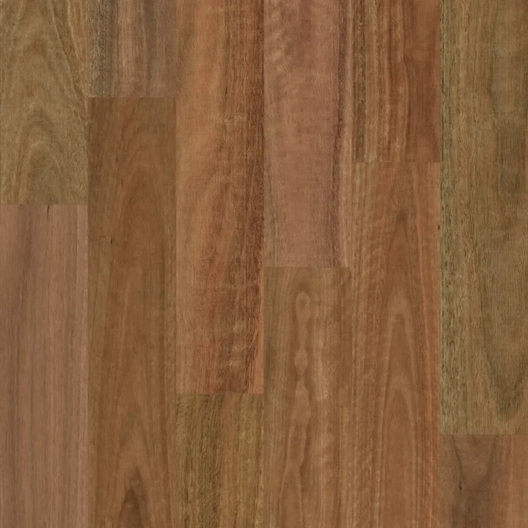 Royal AquaCore Aussie Species flooring in Spotted Gum, swatch