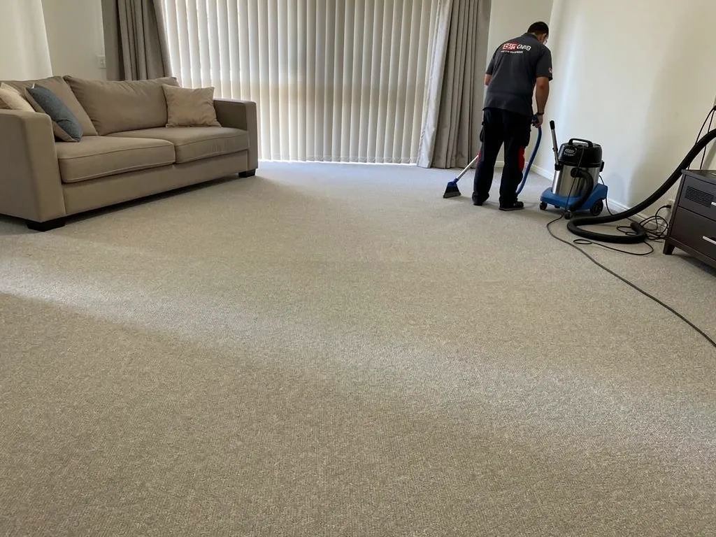 How Should Landlords Maintain Rental Carpet Between Tenancies
