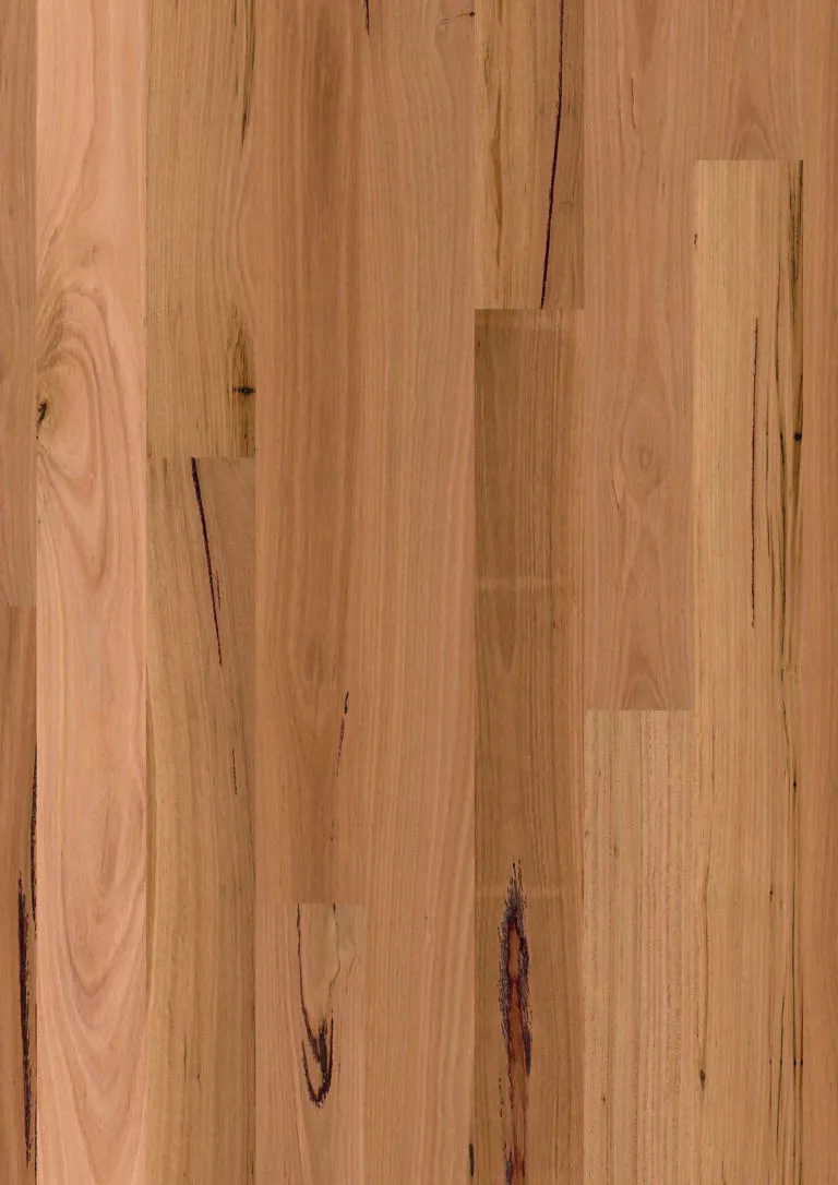Sidura 1 Strip Blackbutt Gloss Swatch