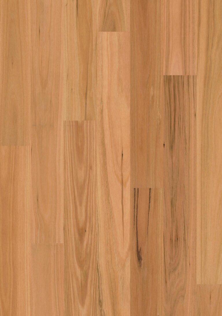 Sidura 1 Strip timber flooring in Blackbutt Matt, swatch