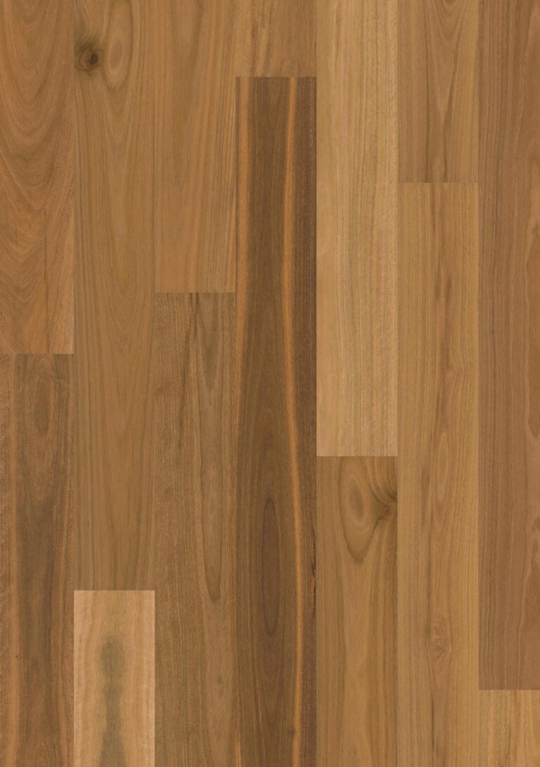 Sidura 1 Strip timber flooring in Spotted Gum Matt, swatch