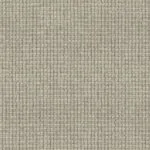 Ocean Sand