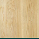 American White Oak