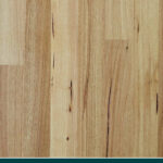 Australian Chestnut