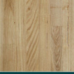 Brownbarrel Southern Beech