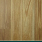 Coastal Blackbutt