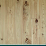 Cypress Pine