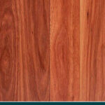 Forest Red Gum