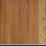 Grey Gum