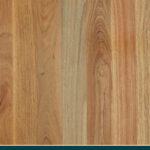 Grey Ironbark