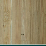 New England Blackbutt