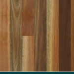QLD Spotted Gum