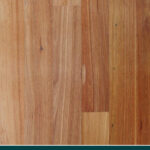Rose Gum (Flooded Gum)