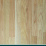 Silvertop Stringybark