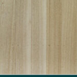 Tasmanian Oak