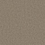 Argan Spice