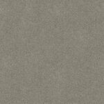 Shingle