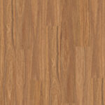 Warm Spotted Gum