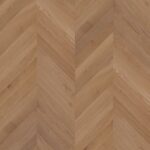 Fawn Oak