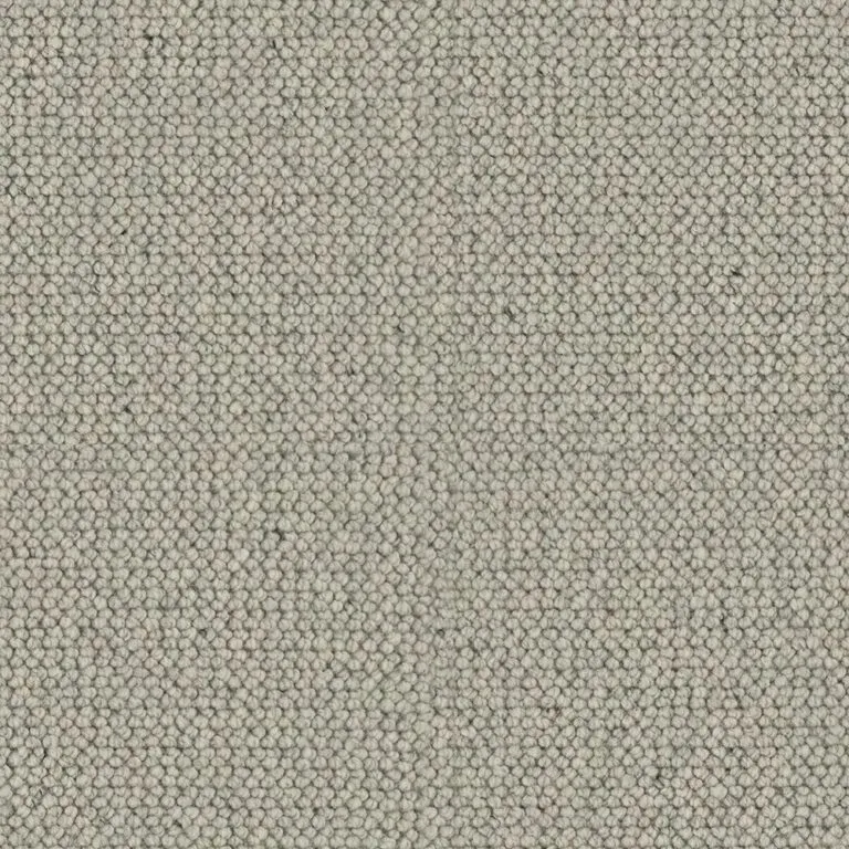 Royal Floors Elmsford carpet in Caden 5804, swatch