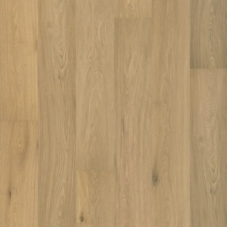 Royal Floors European Oak Natural Grade timber flooring in Drift Brown, swatch