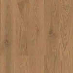 Muted Brown