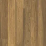 Acorn Brown