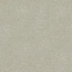 Cool Grey