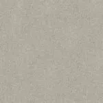 Dappled Grey